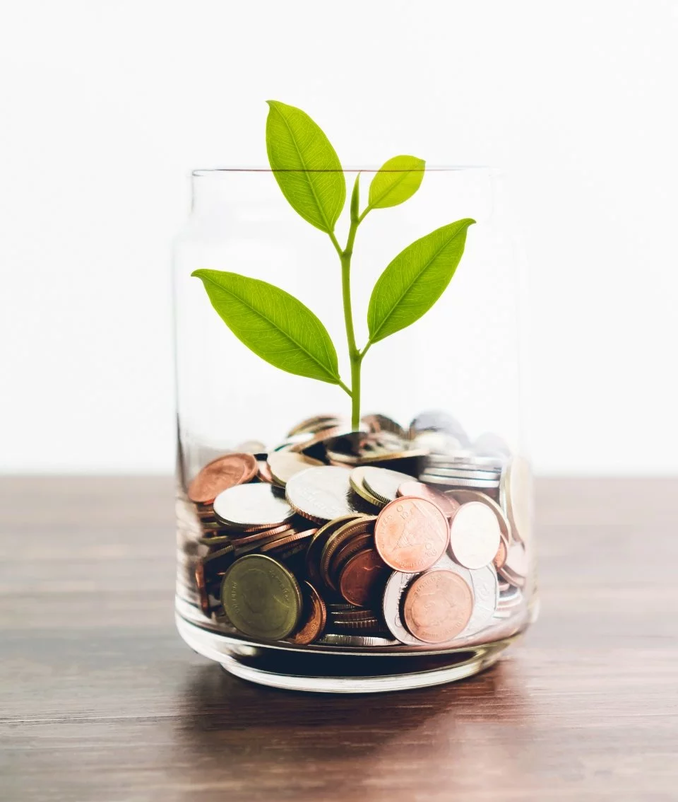 Pflanze im Glas mit Münzen